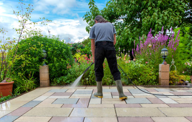 Animal Enclosure Cleaning in Tamaqua, PA